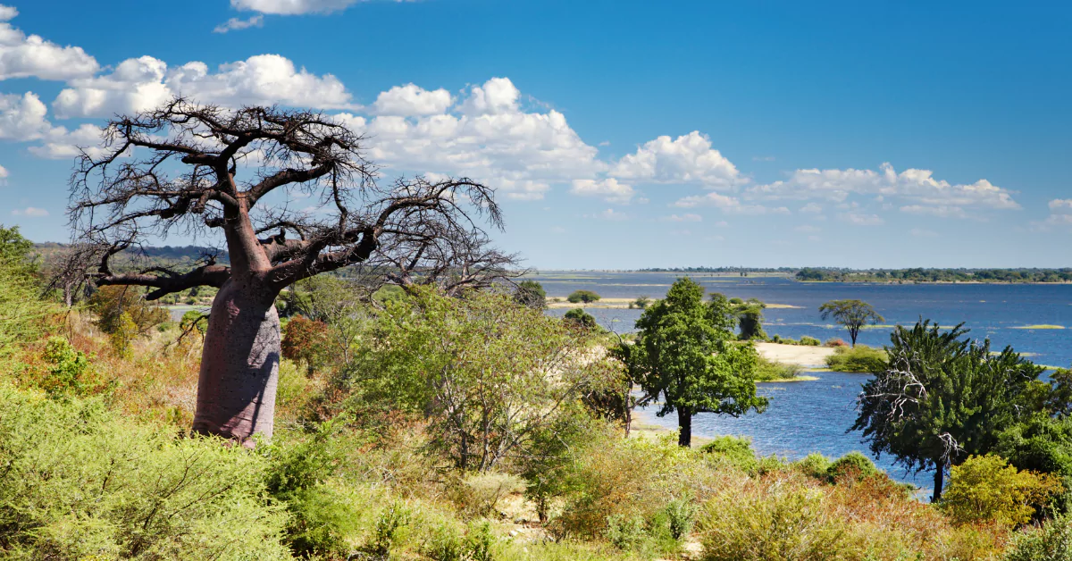 Tuludi Lodge, Khwai Private Game Reserve