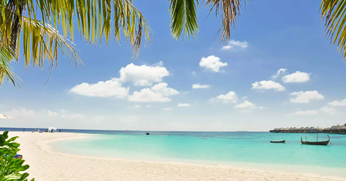 Island Hopping in Zanzibar: Exploring the Archipelago's Hidden Gems - Image 2