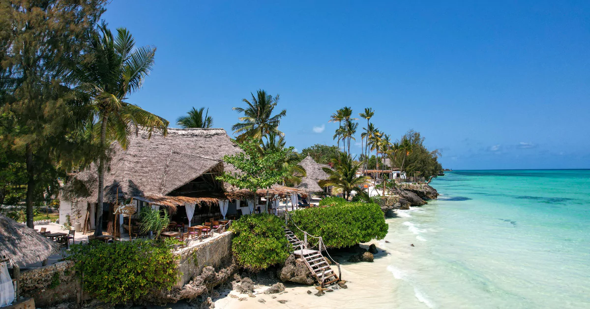 Island Hopping in Zanzibar: Exploring the Archipelago's Hidden Gems - Image 3