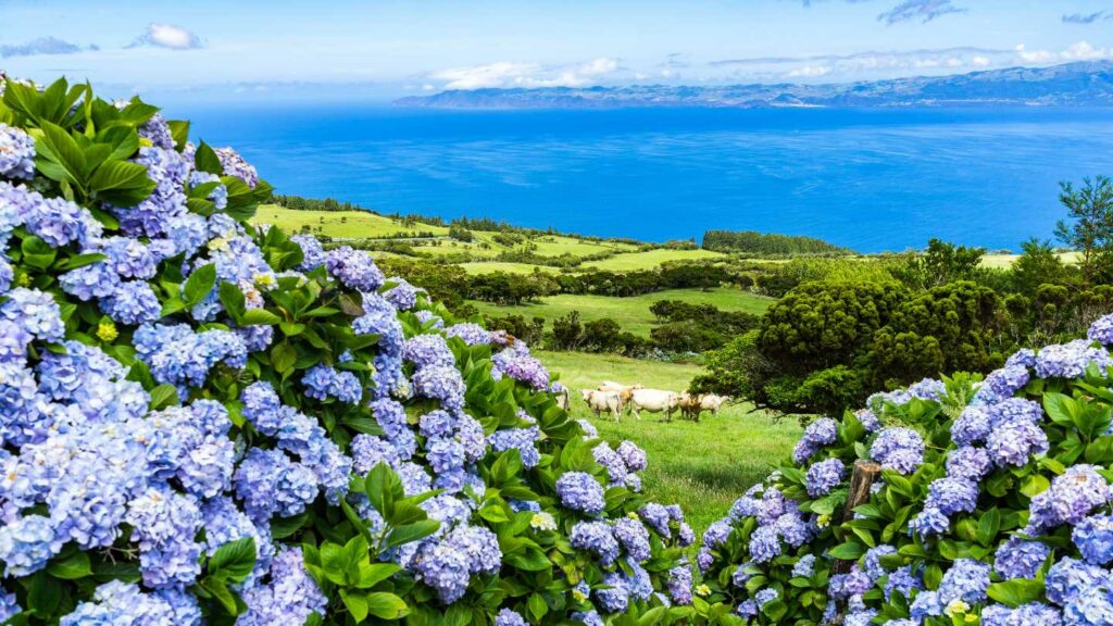 Hidden Gems: Unique Travel Spots You Need to Explore in 2025 - Image 2