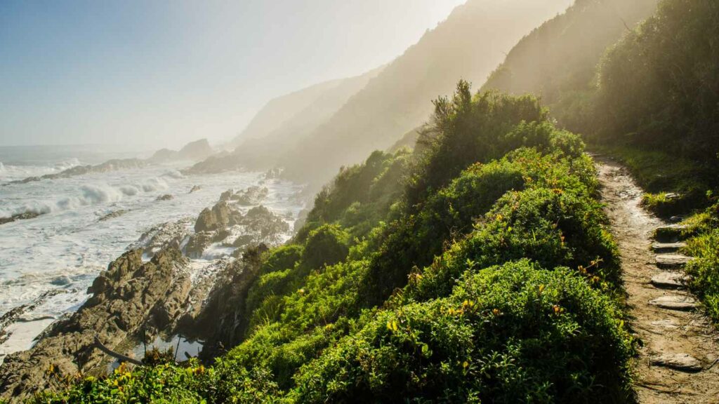 Explore South Africa’s Scenic Drives and Must-Visit Spots - Image 2