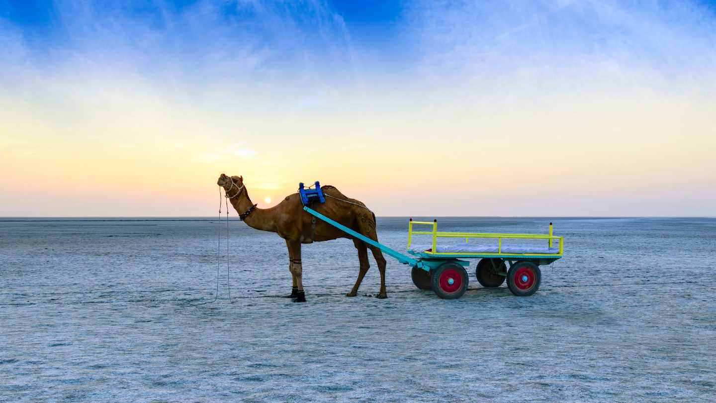 The Best Winter Festivals Around the World - Image 6