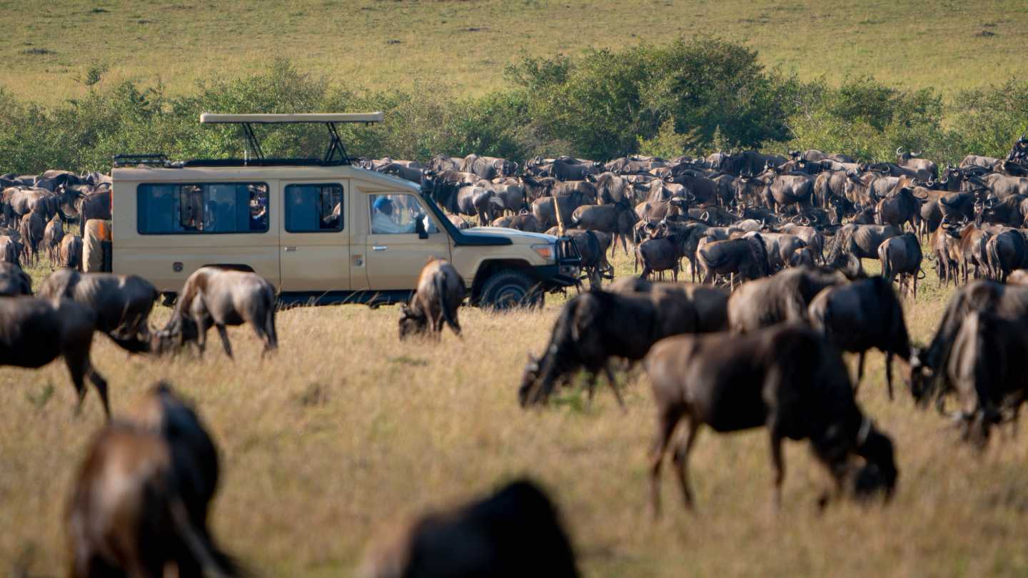 Top Destinations to Visit This Festive Season - Image 5