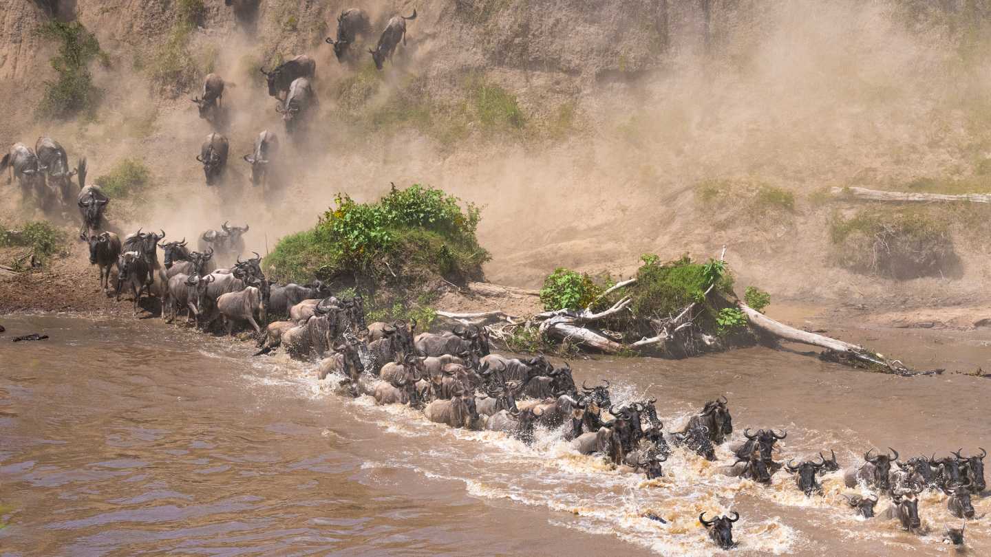 Bucket-List Worthy Experiences - Image 1