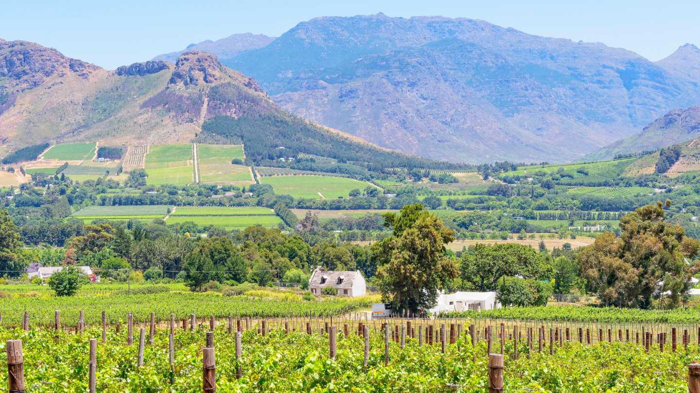 Why We Keep Going Back to Franschhoek - Featured Image