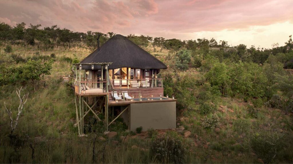Hotel of the Week: Mhondoro Safari Lodge & Villa - Featured Image