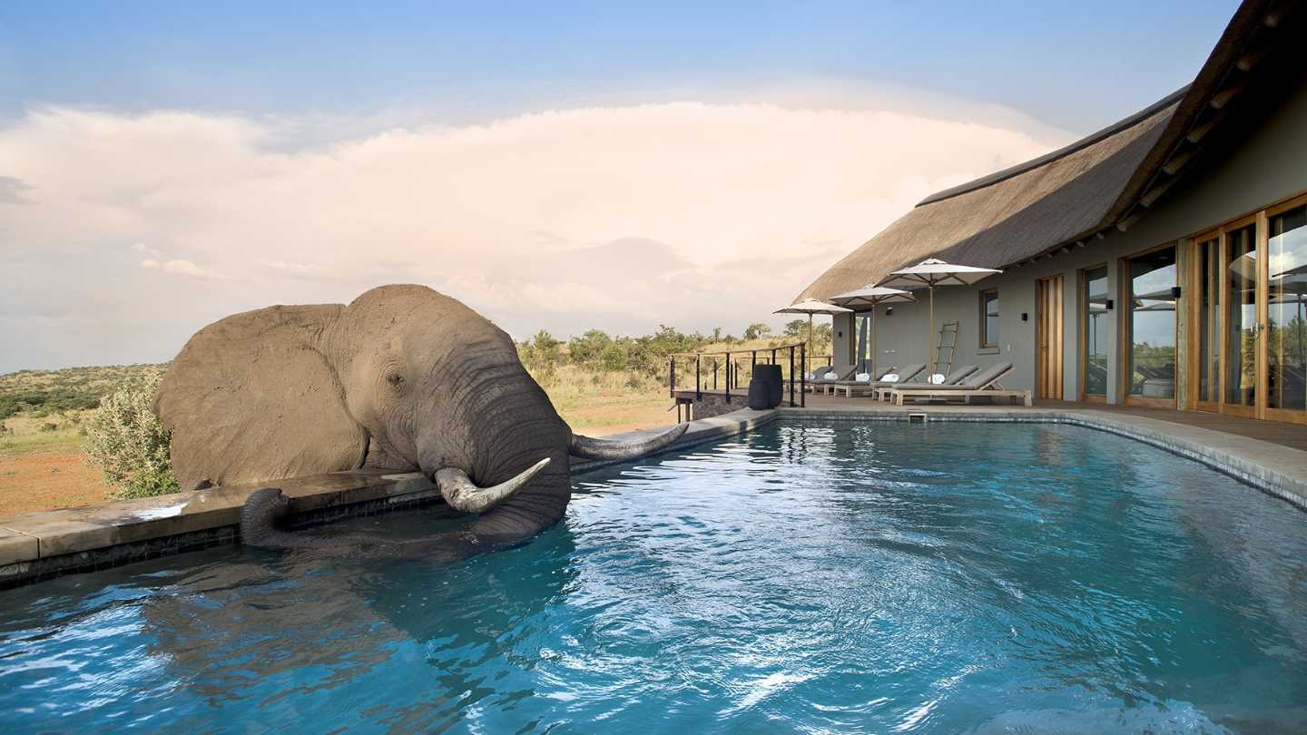 Hotel of the Week: Mhondoro Safari Lodge & Villa - Image 1