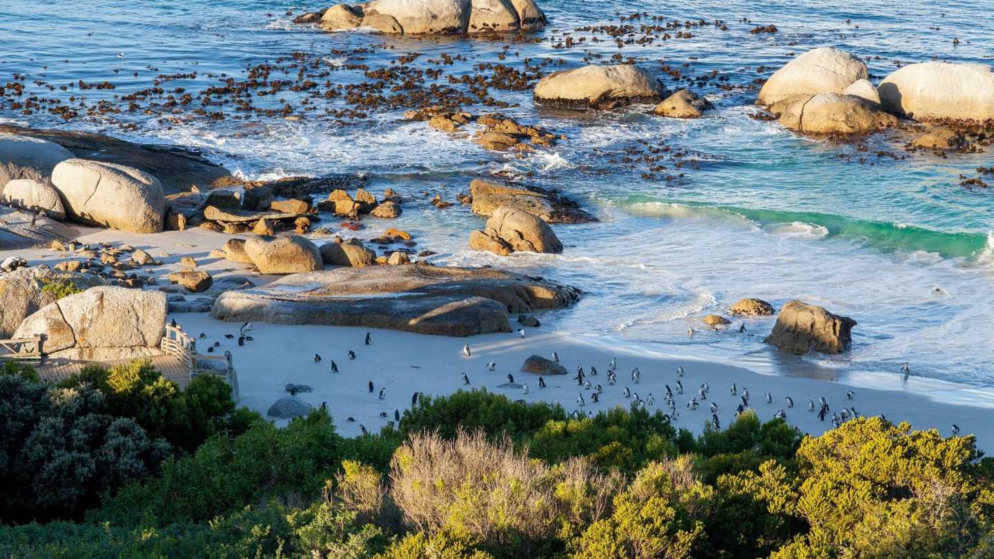 Hotel of the Week: Tintswalo at Boulders - Featured Image