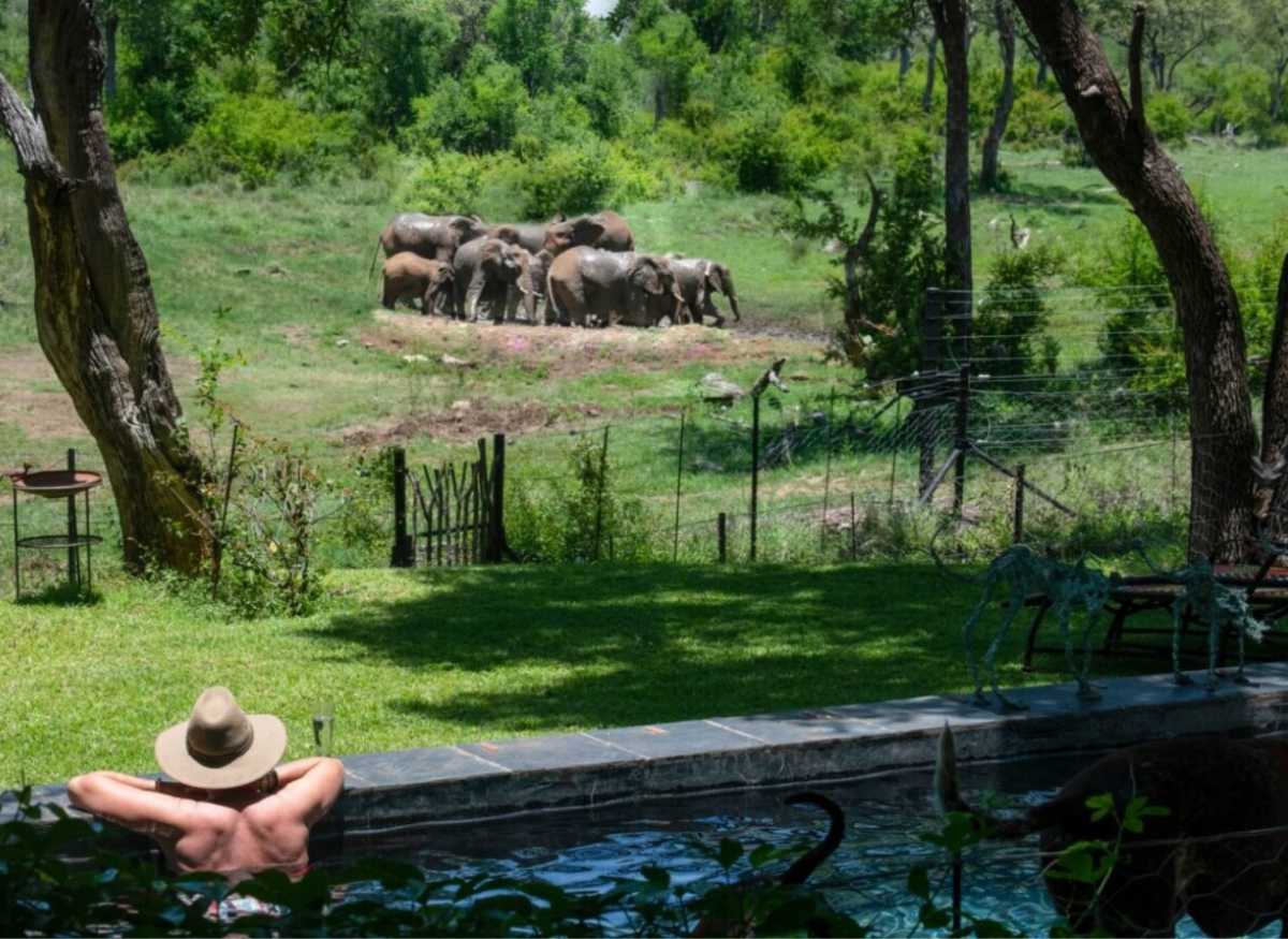 Hotel of the Week: Jaci’s Safari Lodge – Madikwe Game Reserve - Image 2