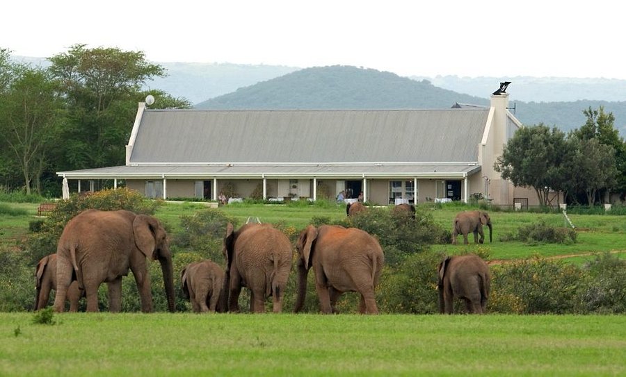 Hotel of the Week: RiverBend Lodge – Addo - image 1